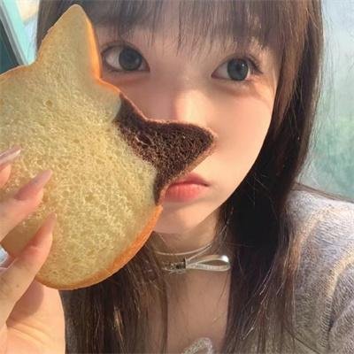 小猪教室